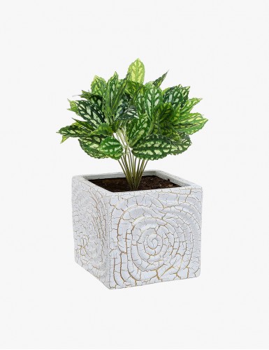 new Product
