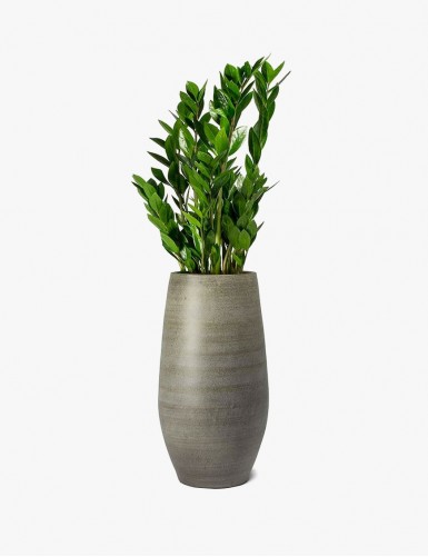new Product