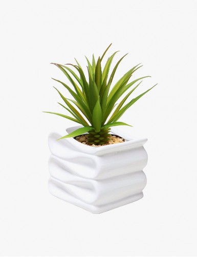 new Product